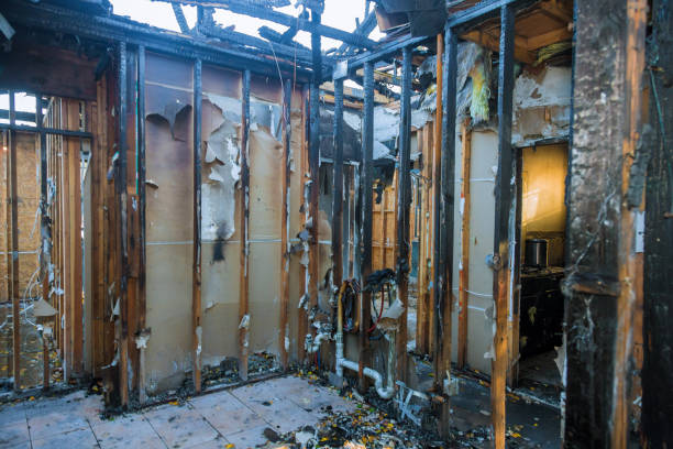 Professional Fire Damage Removal technician working in Takoma Park, MD