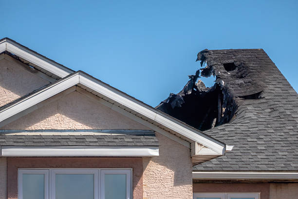 Top rated local Fire Damage Removal specialists in Takoma Park, MD